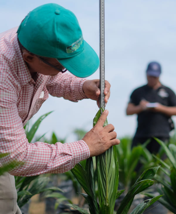 ハウスキーピング