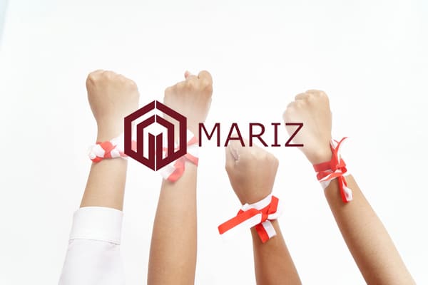 マリズジャパンのサービス